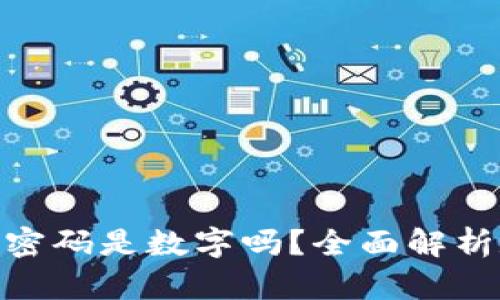 : 数字钱包登录密码是数字吗？全面解析数字钱包安全性