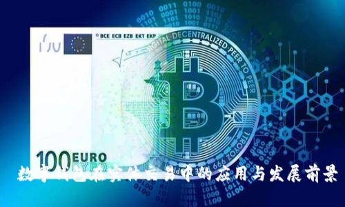  数字钱包在实体交易中的应用与发展前景