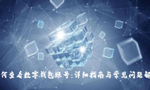 如何查看数字钱包账号：详细指南与常见问题解析