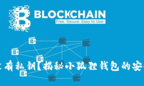 小狐狸钱包有没有私钥？揭秘小狐狸钱包的安全性与使用指南