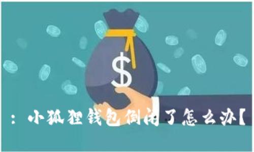 : 小狐狸钱包倒闭了怎么办？