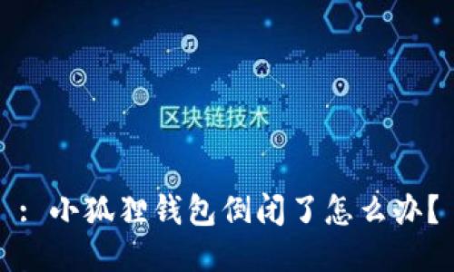 : 小狐狸钱包倒闭了怎么办？