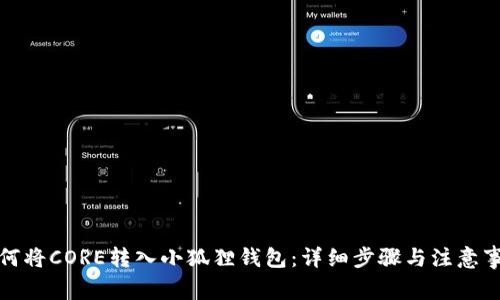 如何将CORE转入小狐狸钱包：详细步骤与注意事项