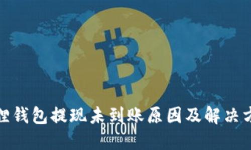 : 小狐狸钱包提现未到账原因及解决方法详解