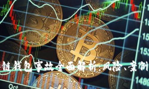 : 区块链钱包事故全面解析：风险、案例与防范