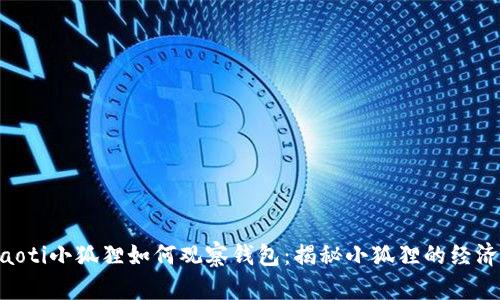 ziaoti小狐狸如何观察钱包：揭秘小狐狸的经济学