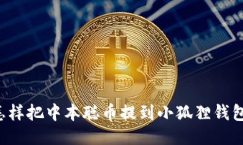  怎样把中本聪币提到小狐狸钱包里