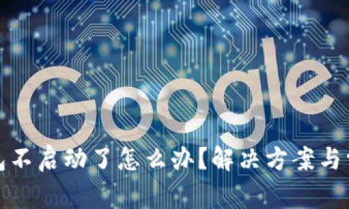 : 小狐狸钱包不启动了怎么办？解决方案与常见问题解析