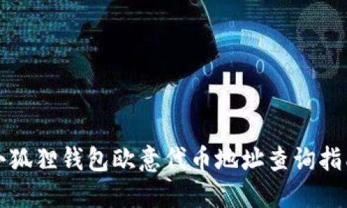 小狐狸钱包欧意代币地址查询指南