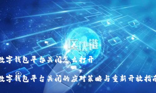 数字钱包平台关闭怎么打开

数字钱包平台关闭的应对策略与重新开放指南