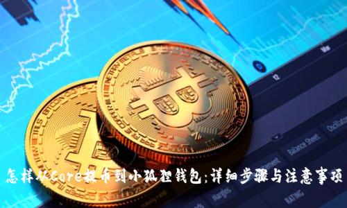 怎样从Core提币到小狐狸钱包：详细步骤与注意事项