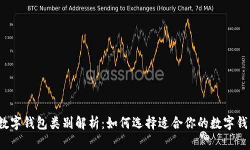  数字钱包类别解析：如何选择适合你的数字钱包