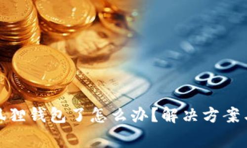 搜不到小狐狸钱包了怎么办？解决方案与常见问题