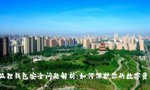 小狐狸钱包安全问题解析：如何保护你的数字资产？