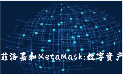 : 深入分析菲洛嘉和MetaMask：数字资产管理的未来