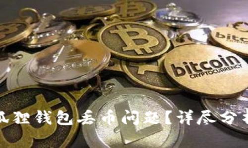 如何解决小狐狸钱包丢币问题？详尽分析与应对策略