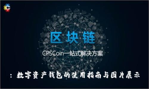 : 数字资产钱包的使用指南与图片展示
