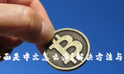 小狐狸钱包界面是中文怎么办？解决方法与使用技巧解析