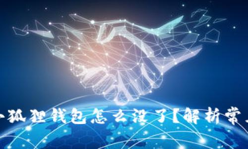 : 中本聪提币到小狐狸钱包怎么没了？解析常见问题及解决办法