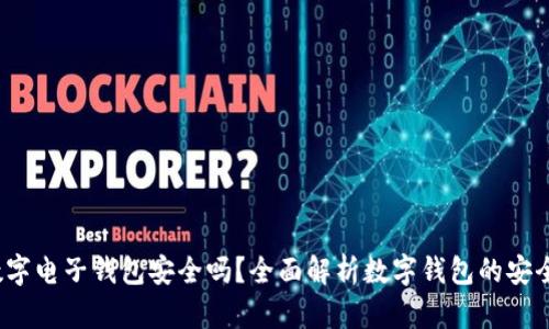  数字电子钱包安全吗？全面解析数字钱包的安全性