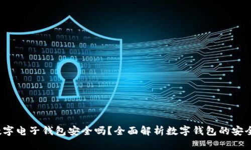  数字电子钱包安全吗？全面解析数字钱包的安全性
