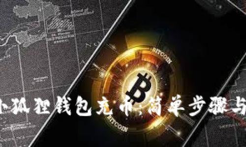  如何给小狐狸钱包充币：简单步骤与注意事项