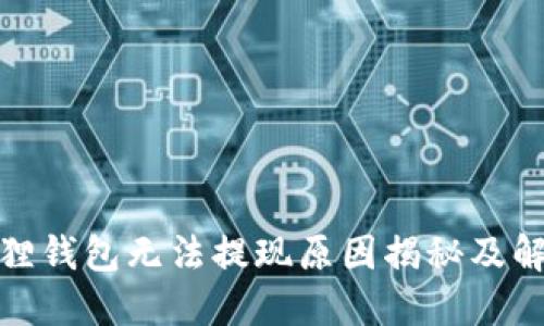 : 小狐狸钱包无法提现原因揭秘及解决办法