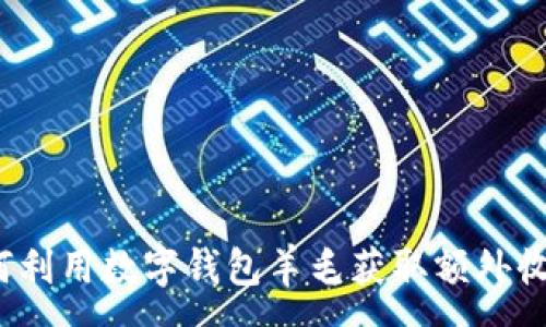 :
如何利用数字钱包羊毛获取额外收益？