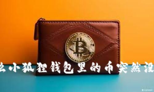 为什么小狐狸钱包里的币突然没有了？
