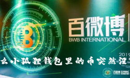 为什么小狐狸钱包里的币突然没有了？