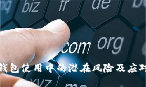数字钱包使用中的潜在风险及应对策略