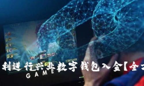  如何顺利进行兴业数字钱包入金？全方位指南