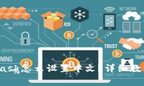  苹果手机MetaMask怎么设置中文？详细教程与常见问题解答