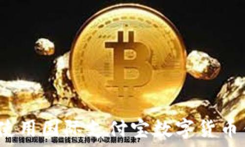   
如何使用国际支付宝数字货币钱包？
