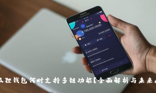 小狐狸钱包何时支持多链功能？全面解析与未来展望