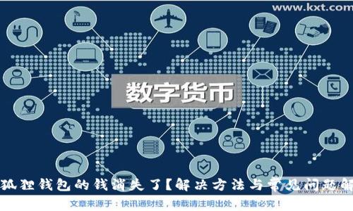 小狐狸钱包的钱消失了？解决方法与常见问题解析