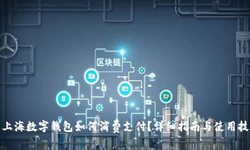: 上海数字钱包如何消费支付？详细指南与使用技巧