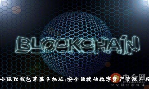小狐狸钱包苹果手机版：安全便捷的数字资产管理工具