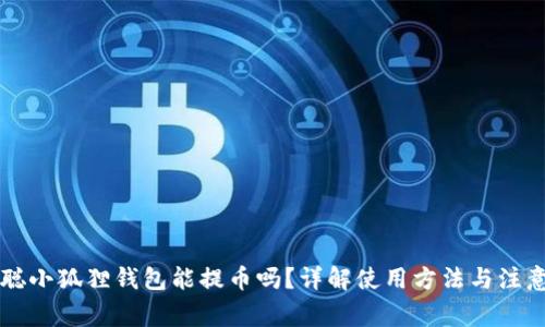 中本聪小狐狸钱包能提币吗？详解使用方法与注意事项