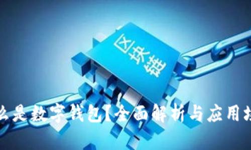 什么是数字钱包？全面解析与应用场景