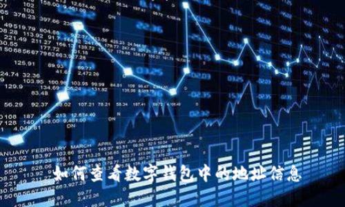  如何查看数字钱包中的地址信息