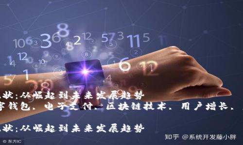 数字钱包现状：从崛起到未来发展趋势  
关键词：数字钱包, 电子支付, 区块链技术, 用户增长, 未来趋势  

数字钱包现状：从崛起到未来发展趋势