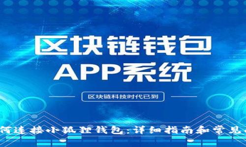  电脑如何连接小狐狸钱包：详细指南和常见问题解答