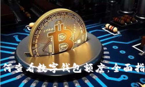 如何查看数字钱包额度：全面指南