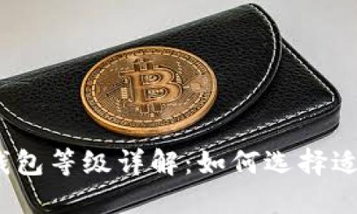 数字人民币钱包等级详解：如何选择适合你的钱包？