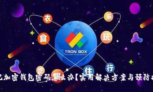 忘记加密钱包密码怎么办？实用解决方案与预防措施