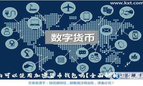 国内可以使用加密货币钱包吗？全面解析与使用指南