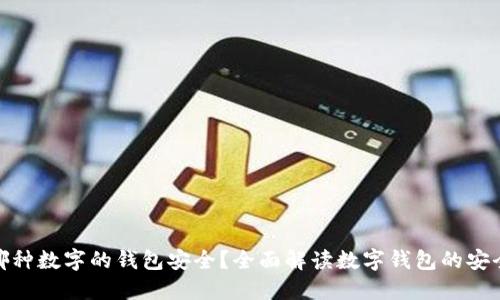 : 哪种数字的钱包安全？全面解读数字钱包的安全性