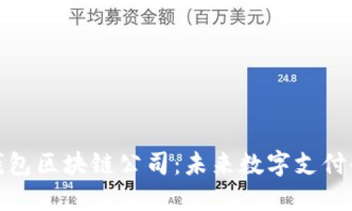 : 探索云钱包区块链公司：未来数字支付的核心力量