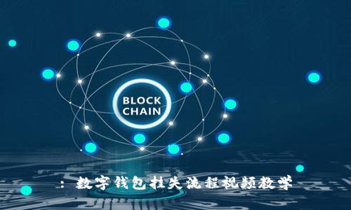 : 数字钱包挂失流程视频教学